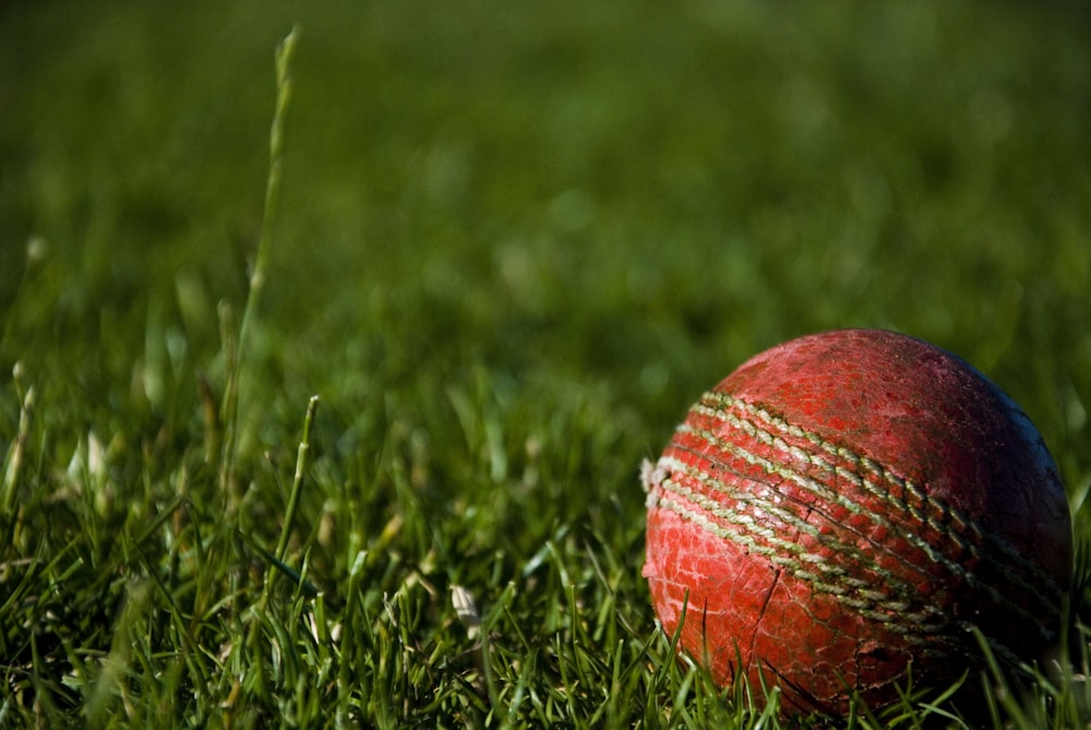Ground Up Cricket Academy Nets